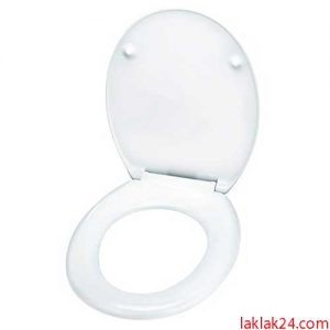 درب توالت فرنگی اسفنجی دوریکا